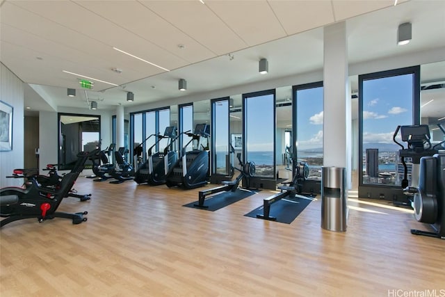 exercise room featuring a wealth of natural light and light wood-type flooring