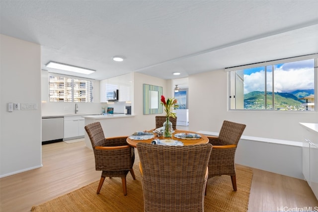 dining space with light hardwood / wood-style flooring