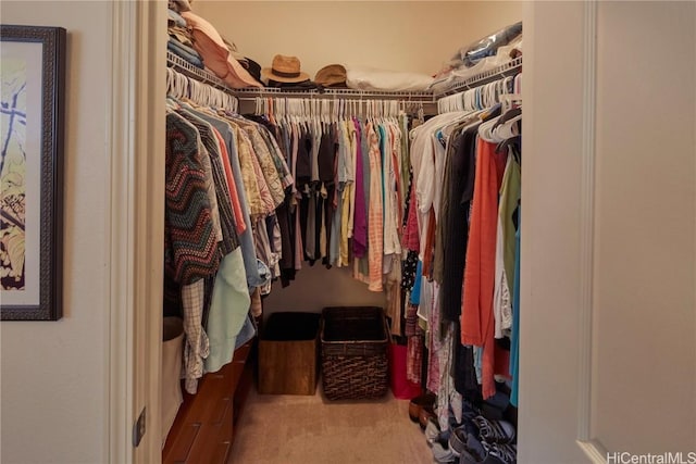 spacious closet with light colored carpet