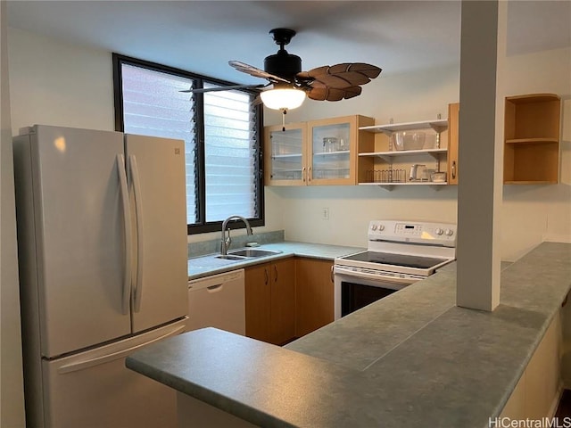 kitchen featuring ceiling fan, white appliances, and sink