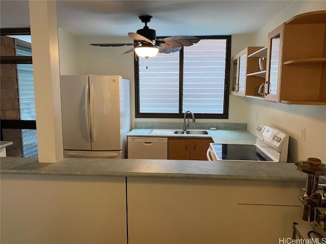 kitchen with sink, white appliances, and ceiling fan