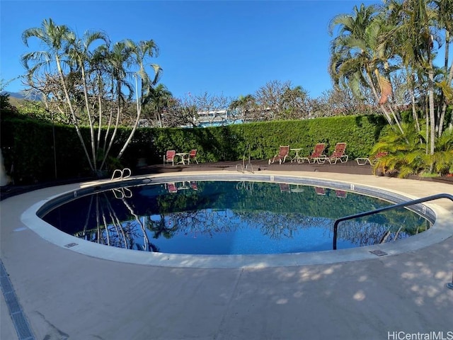 view of swimming pool