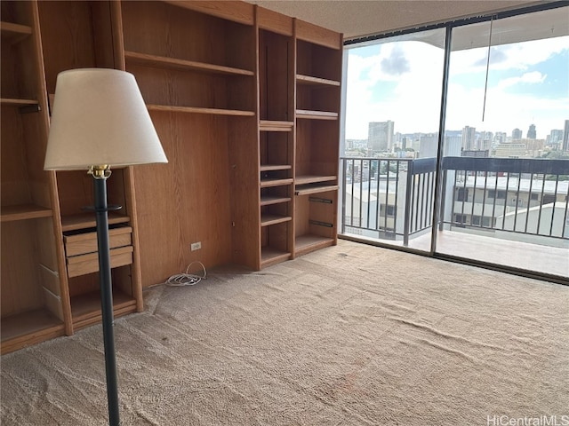 unfurnished living room featuring carpet floors and expansive windows