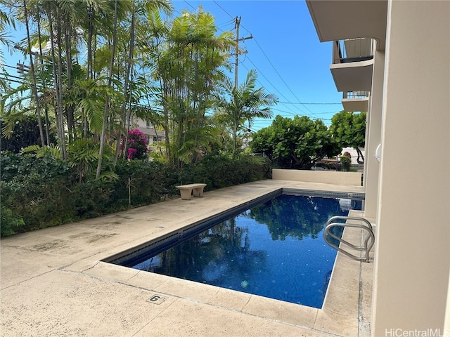 view of pool featuring a patio area