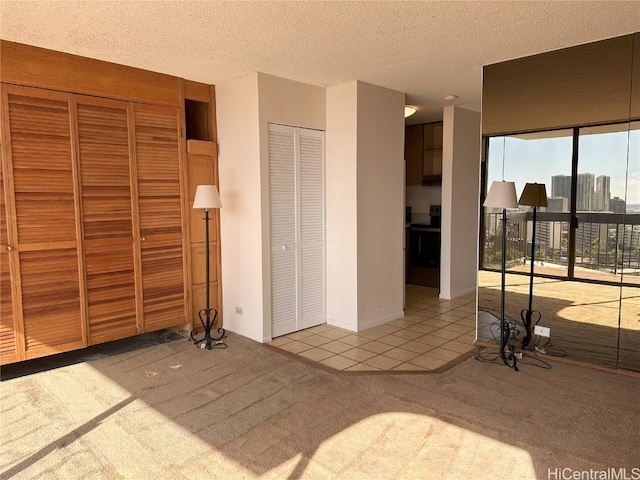 interior space with a textured ceiling and two closets