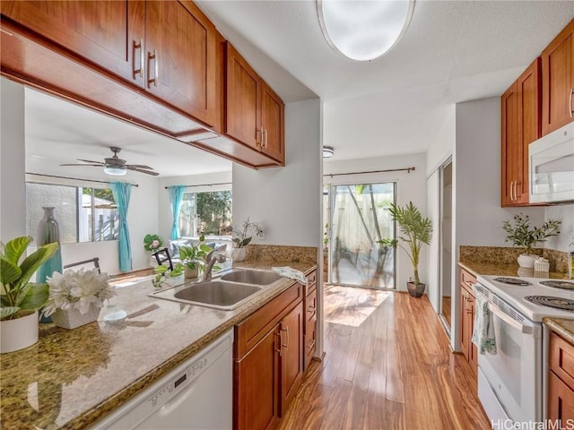 kitchen featuring a wealth of natural light, white appliances, a sink, and light wood finished floors