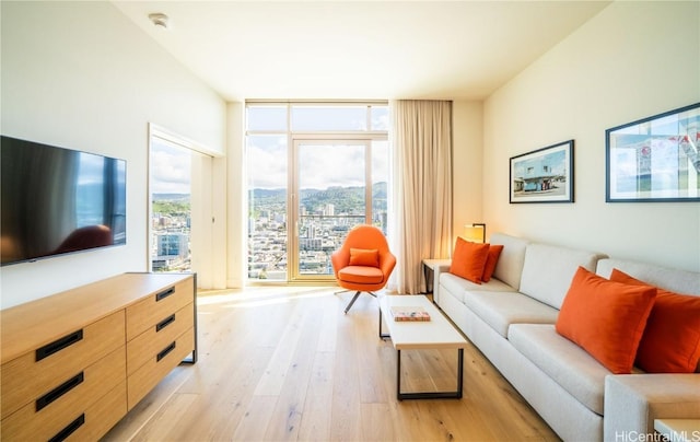 living room with light wood-type flooring, a wall of windows, and a healthy amount of sunlight