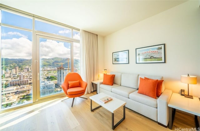 living room featuring a mountain view, floor to ceiling windows, and light hardwood / wood-style floors