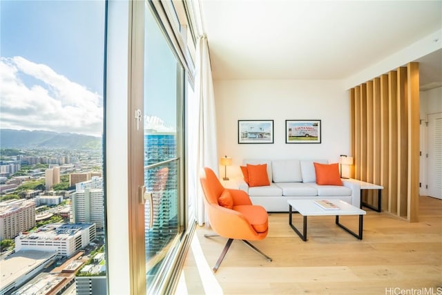 interior space featuring a mountain view and light hardwood / wood-style flooring