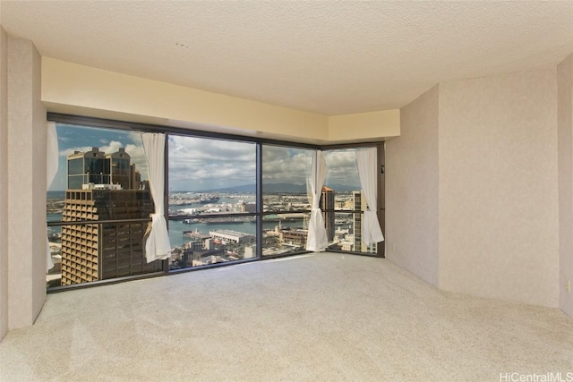 carpeted empty room with a water view and a textured ceiling