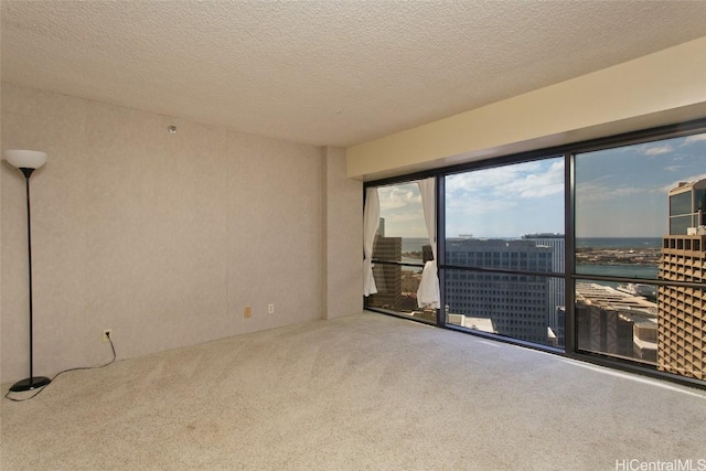 carpeted spare room with a textured ceiling and a water view