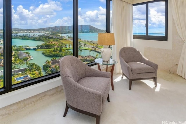 sitting room with a wealth of natural light and a water and mountain view