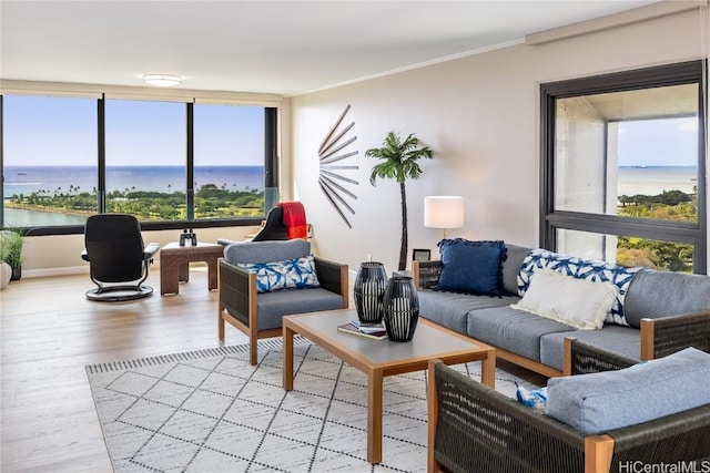 living room with ornamental molding, a water view, and light hardwood / wood-style floors