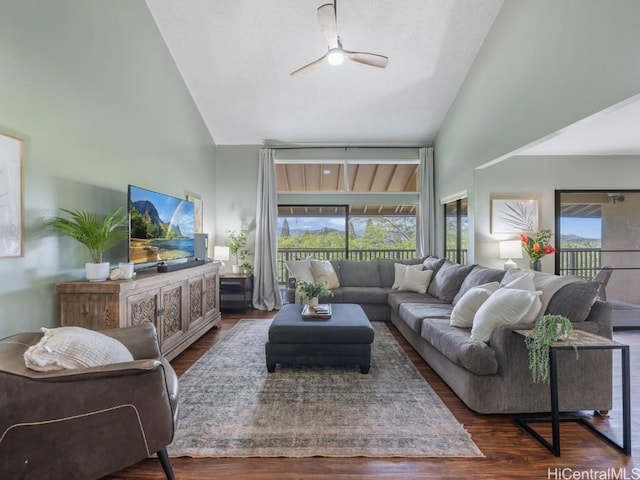 living room with ceiling fan, high vaulted ceiling, and dark hardwood / wood-style floors