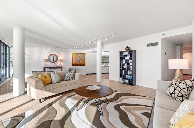 living room with track lighting, light wood-type flooring, and a healthy amount of sunlight