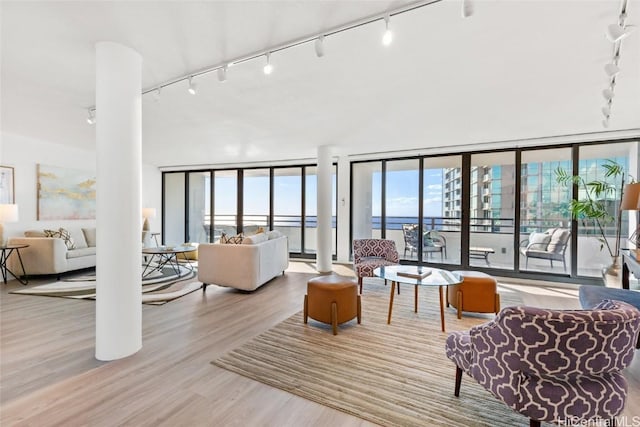 living room with light hardwood / wood-style flooring and a water view