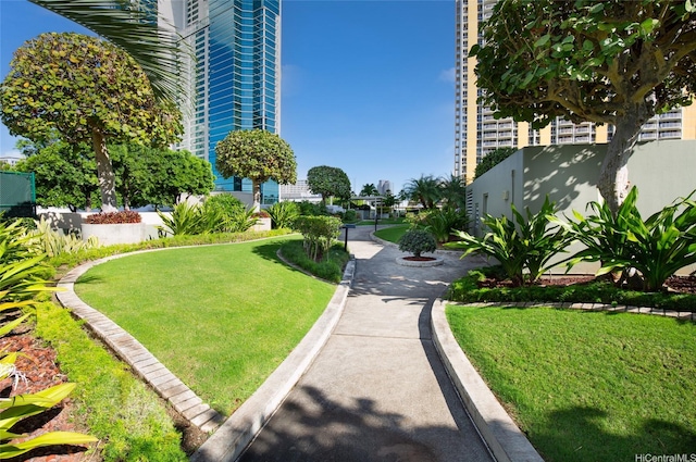 view of property's community featuring a yard