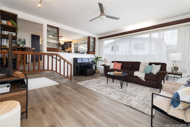 living room with ceiling fan and hardwood / wood-style floors