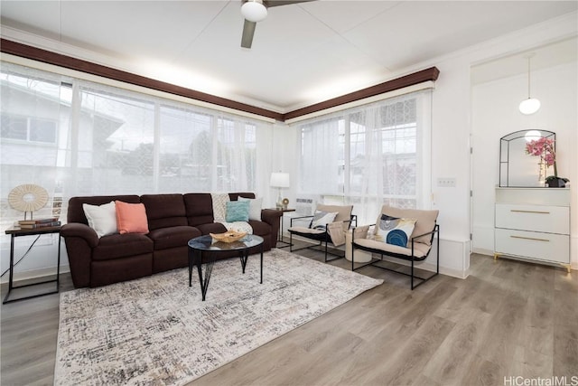 living room featuring ceiling fan, crown molding, and wood-type flooring