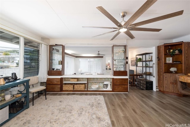 interior space featuring wood-type flooring and ceiling fan