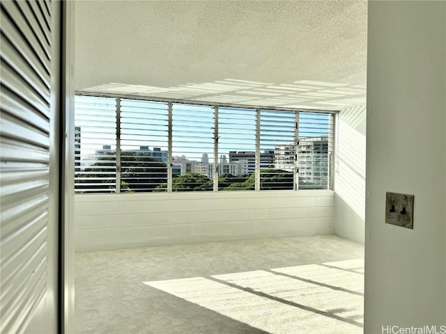 empty room with a textured ceiling