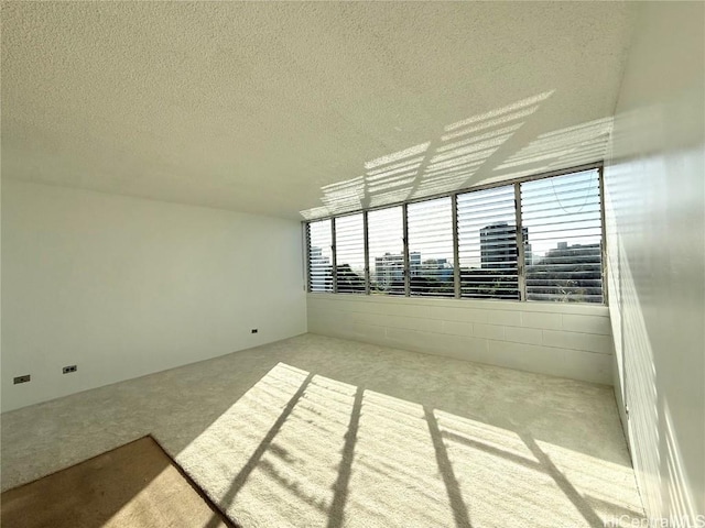 spare room with a wealth of natural light and a textured ceiling