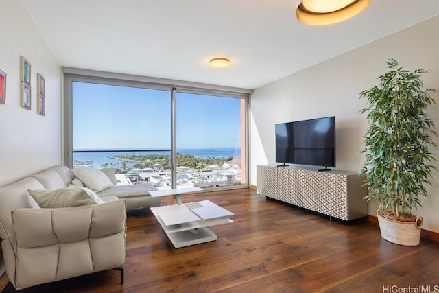 living room featuring dark wood-type flooring and floor to ceiling windows