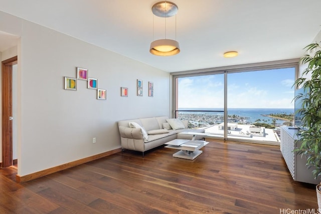 living room featuring a water view, a wall of windows, and dark hardwood / wood-style floors