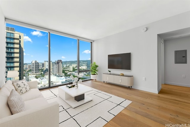 living room featuring electric panel, expansive windows, and light wood-type flooring