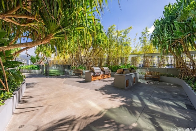 view of patio / terrace featuring exterior kitchen and area for grilling