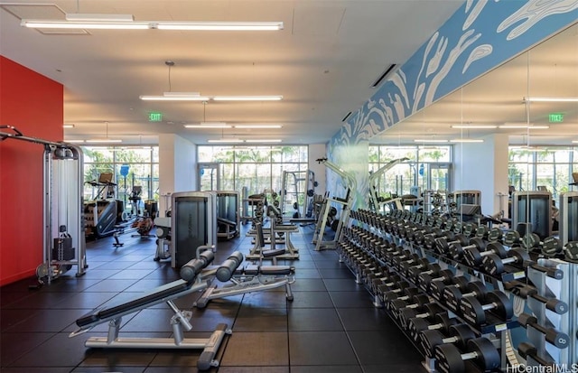 exercise room with a healthy amount of sunlight