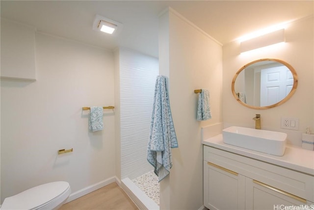 bathroom featuring a shower, vanity, and toilet