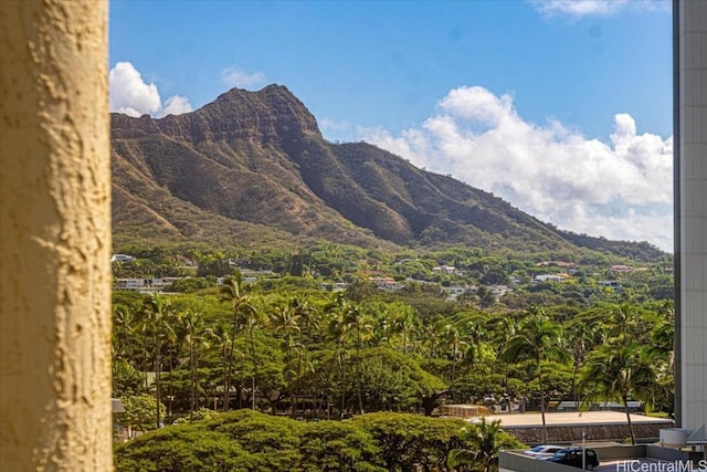 view of mountain feature