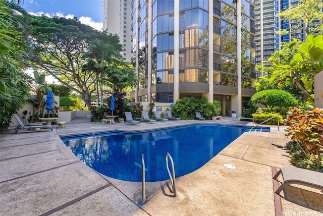 view of swimming pool with a patio