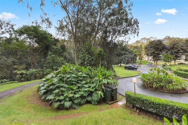 view of home's community with a lawn