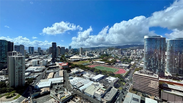 1189 Waimanu St Unit 3107, Honolulu, HI 96814 - view of city