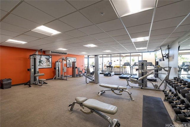 gym with carpet floors, a wealth of natural light, a paneled ceiling, and floor to ceiling windows