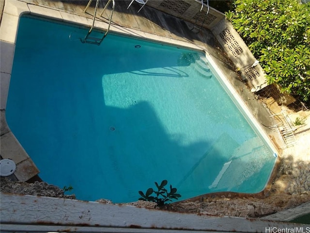 view of swimming pool