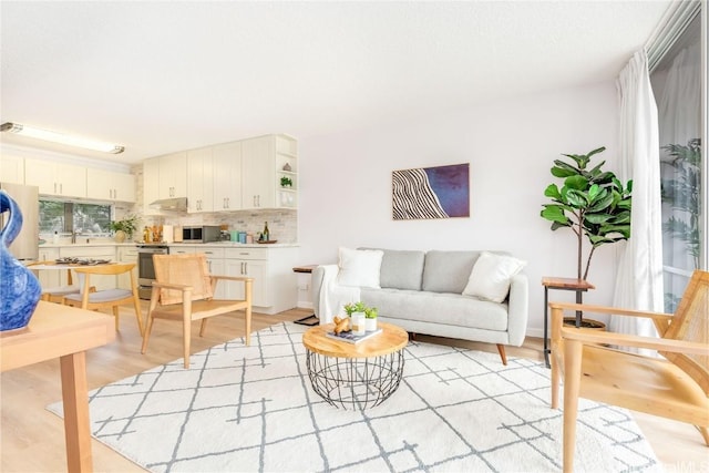 living room featuring light hardwood / wood-style flooring