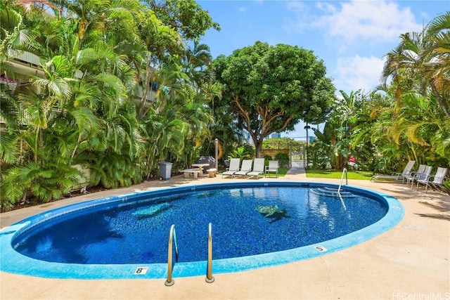 view of pool with a patio