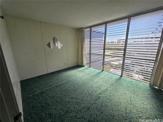 unfurnished room with carpet flooring and a textured ceiling