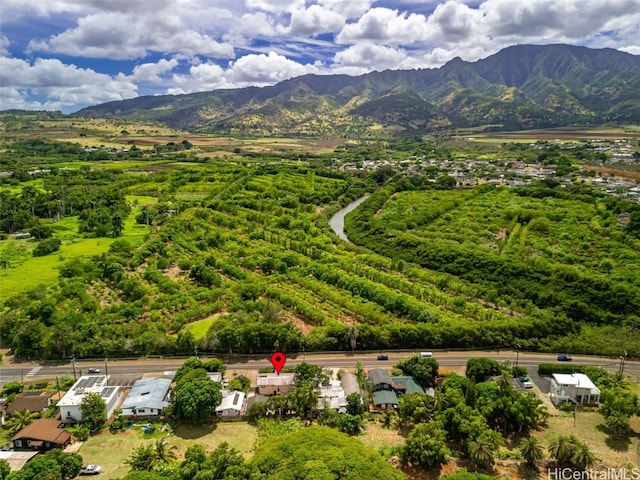 drone / aerial view with a mountain view