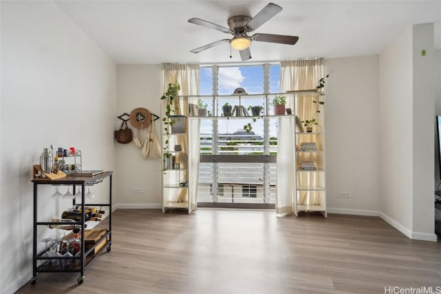 interior space with hardwood / wood-style floors and ceiling fan