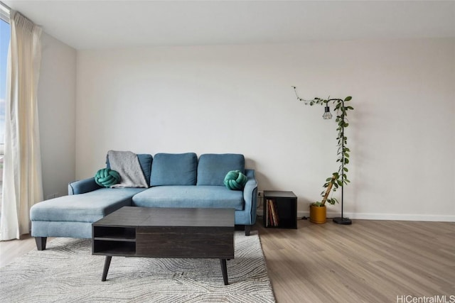 living room featuring hardwood / wood-style floors