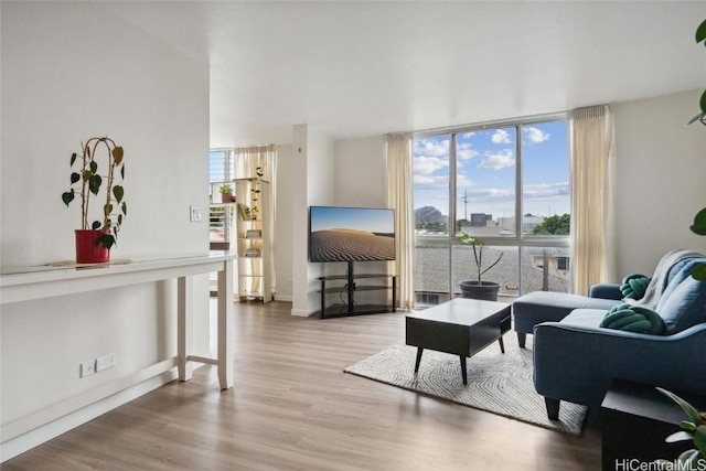 living room featuring floor to ceiling windows and light hardwood / wood-style flooring