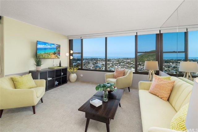 carpeted living room featuring a healthy amount of sunlight and a textured ceiling