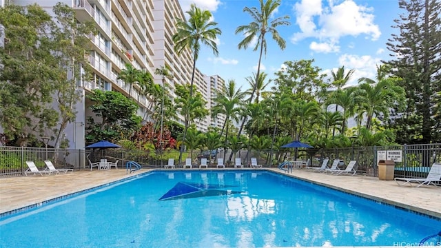 view of pool featuring a patio