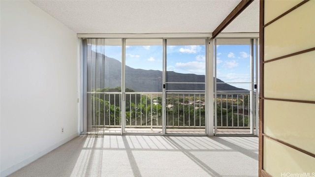 unfurnished sunroom featuring a mountain view