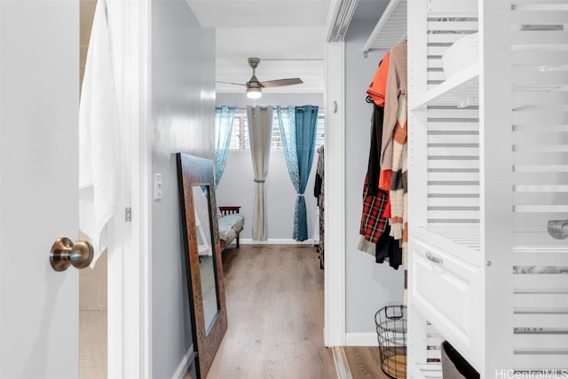 walk in closet featuring ceiling fan and hardwood / wood-style flooring