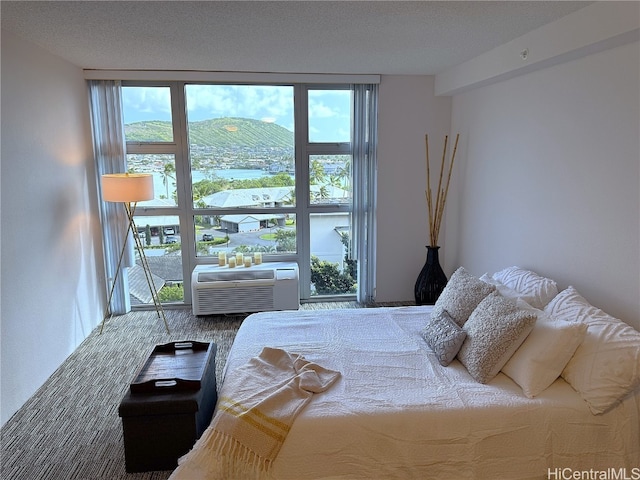 bedroom featuring a mountain view, a textured ceiling, and a wall unit AC